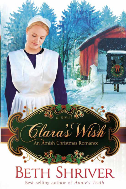 Cover image for book Clara's Wish