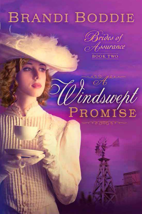 Cover image for book A Windswept Promise