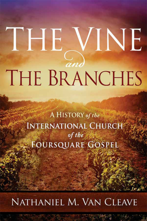 Cover image for book The Vine and the Branches