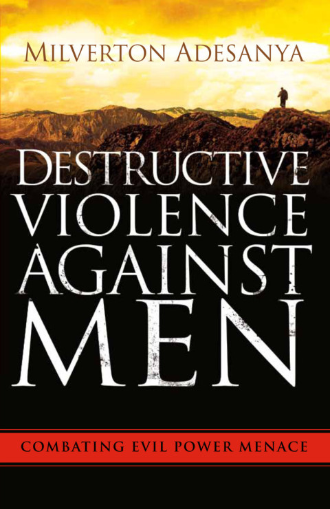 Cover image for book Destructive Violence Against Men