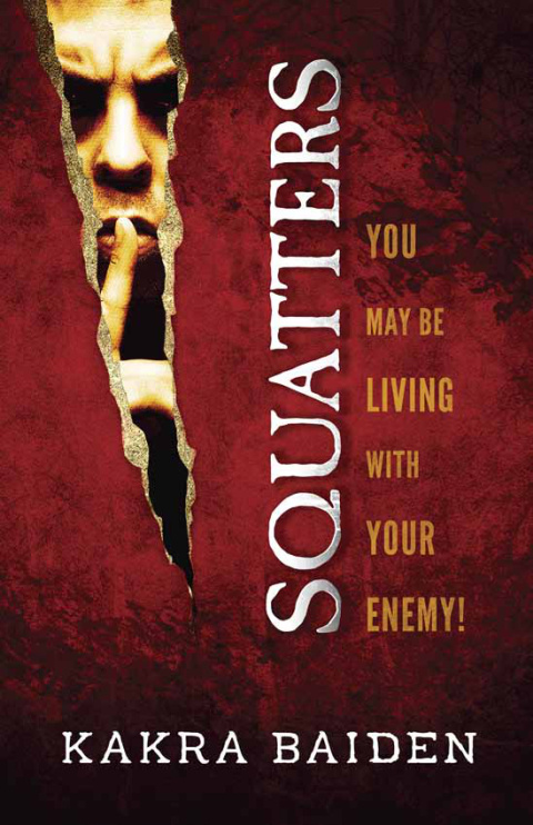 Cover image for book Squatters