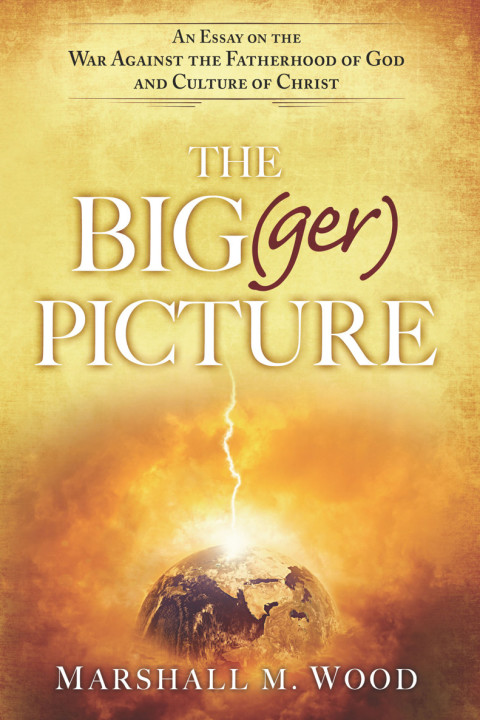 Cover image for book The Big(ger) Picture
