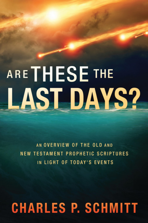 Cover image for book Are These the Last Days?