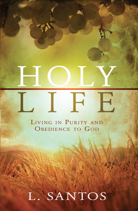Cover image for book Holy Life