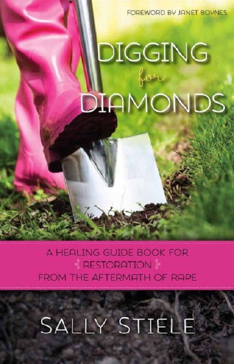 Cover image for book Digging for Diamonds