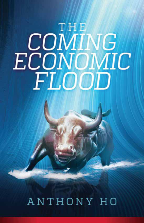 Cover image for book The Coming Economic Flood