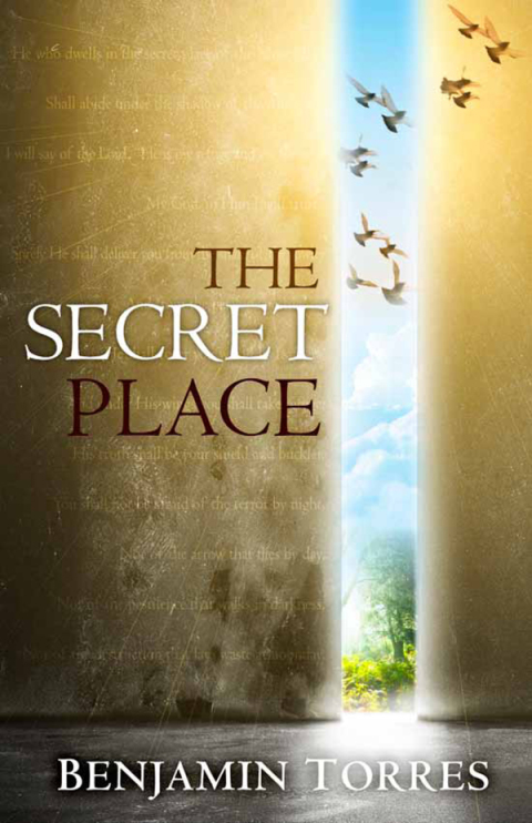 Cover image for book The Secret Place