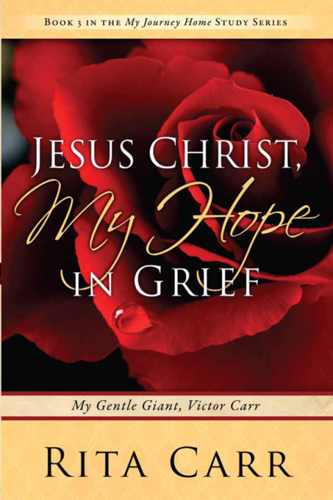 Cover image for book Jesus Christ, My Hope in Grief