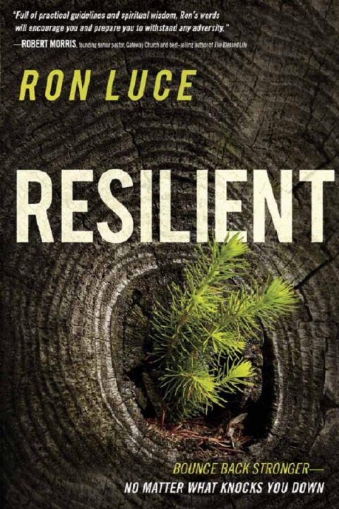 Cover image for book Resilient