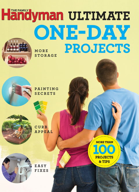 Cover image for book Family Handyman Ultimate 1 Day Projects