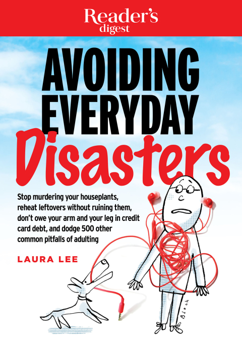 Cover image for book Avoiding Everyday Disasters