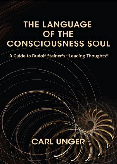 Cover image for book The Language of the Consciousness Soul