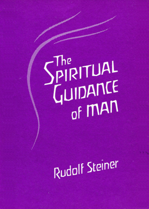 Cover image for book The Social Future