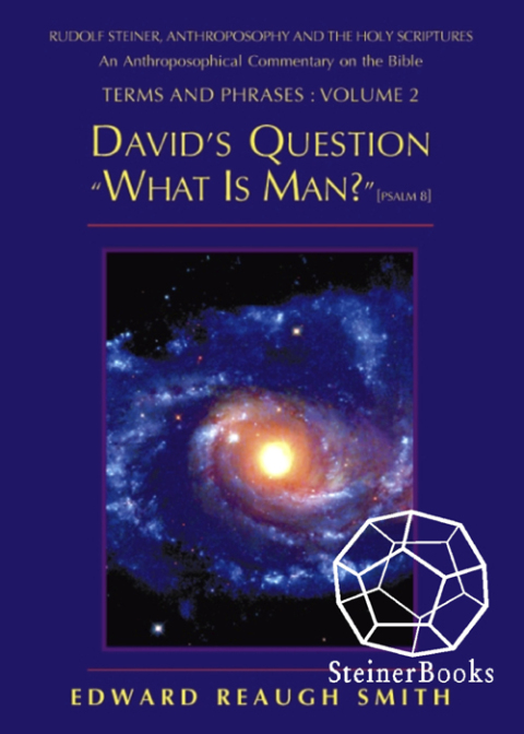Cover image for book David's Question