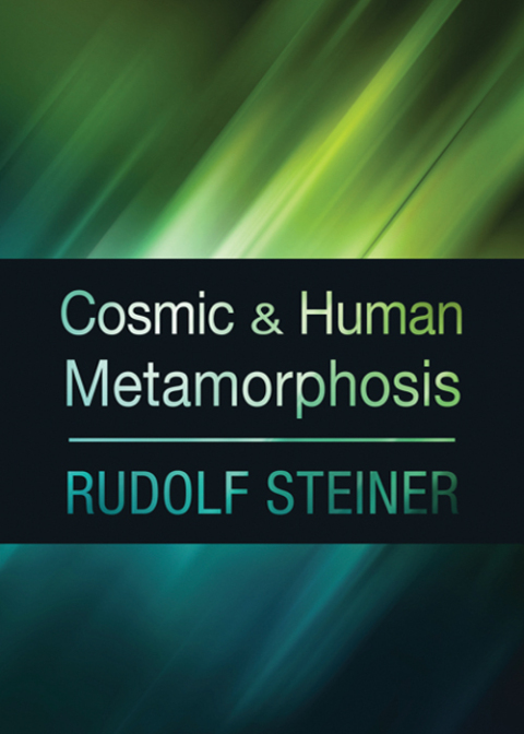 Cover image for book Cosmic and Human Metamorphosis