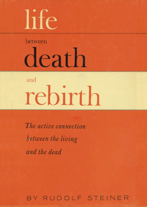 Cover image for book Life between Death and Rebirth