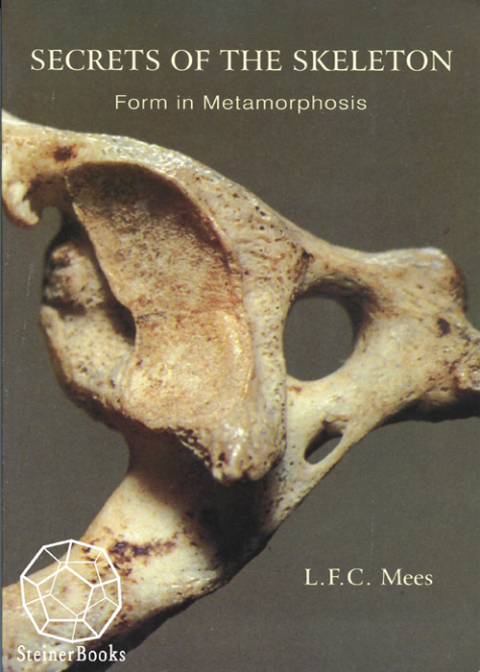 Cover image for book Secrets of the Skeleton