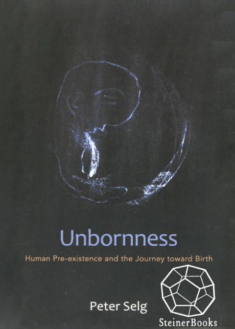 Cover image for book Unbornness