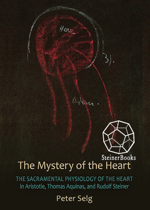 Cover image for book The Mystery of the Heart