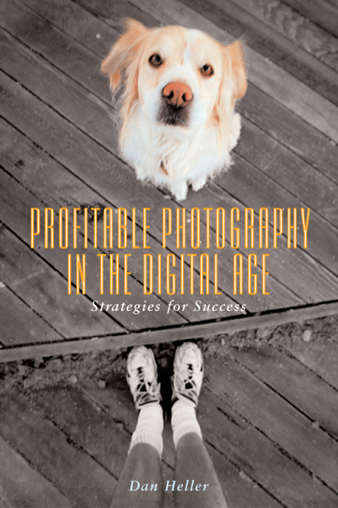 Cover image for book Profitable Photography in Digital Age
