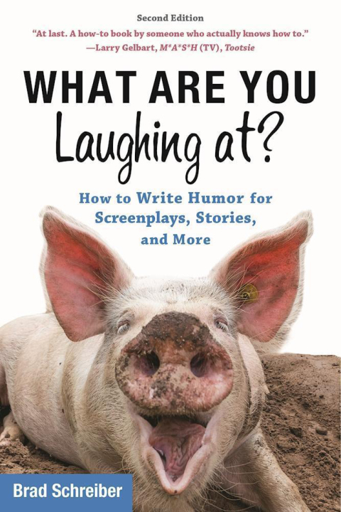Cover image for book What Are You Laughing At?