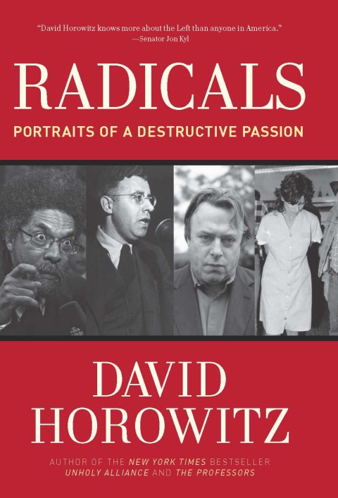 Cover image for book Radicals