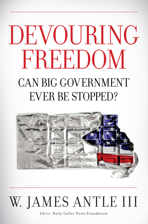 Cover image for book Devouring Freedom
