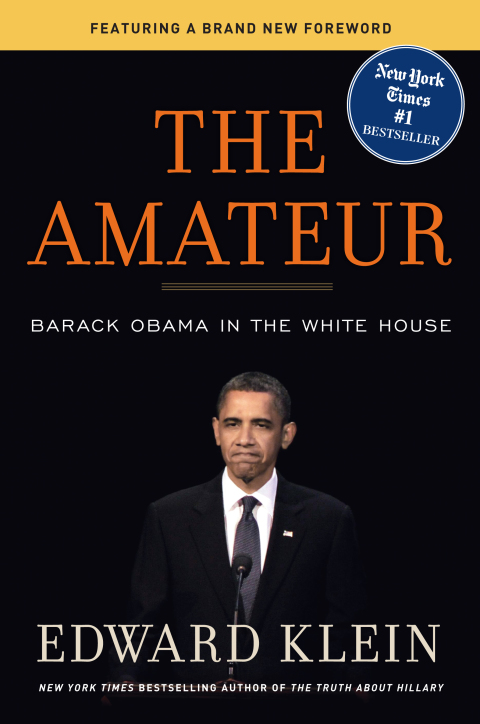 Cover image for book The Amateur