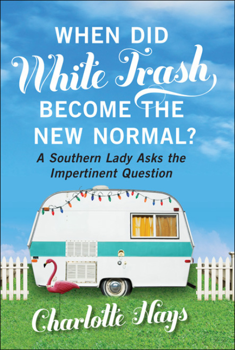 Cover image for book When Did White Trash Become the New Normal?
