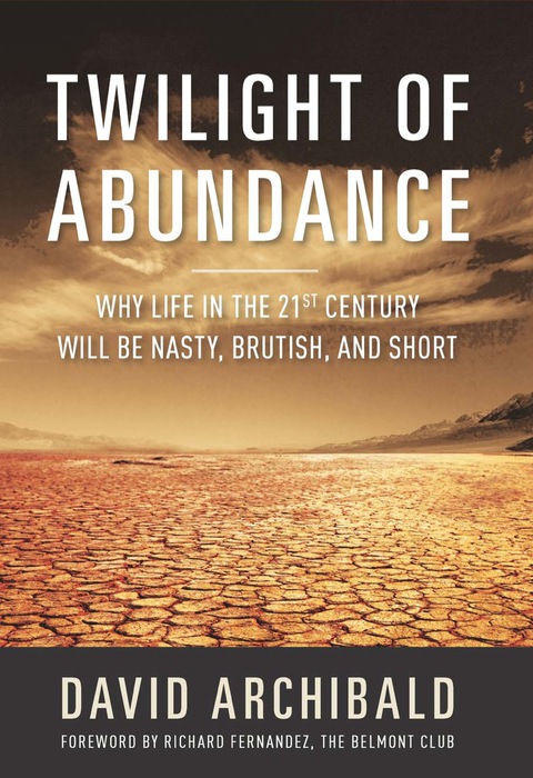 Cover image for book Twilight of Abundance
