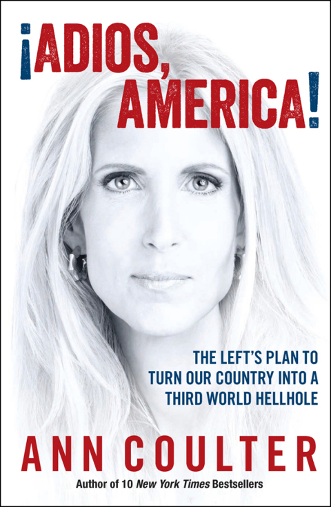 Cover image for book Adios, America