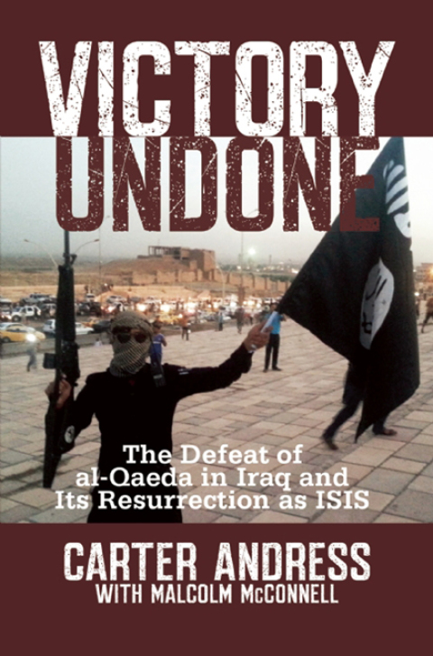 Cover image for book Victory Undone