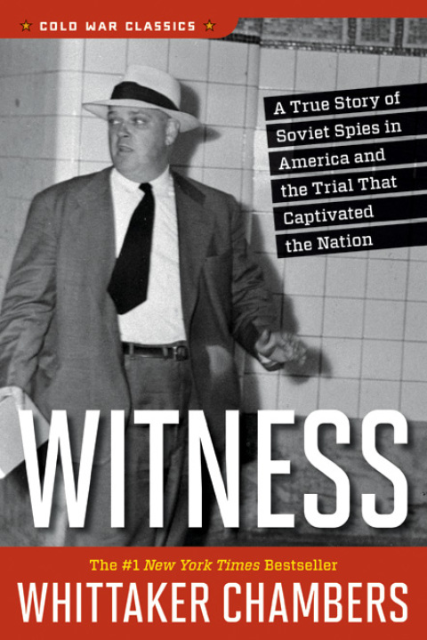 Cover image for book Witness