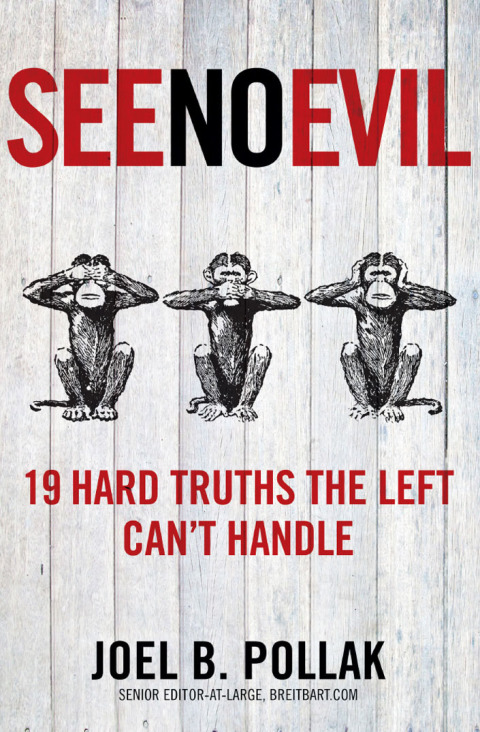Cover image for book See No Evil