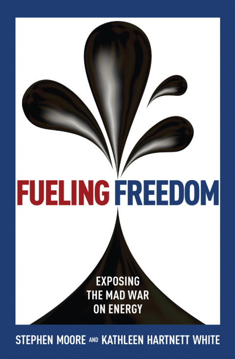 Cover image for book Fueling Freedom