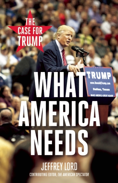 Cover image for book What America Needs