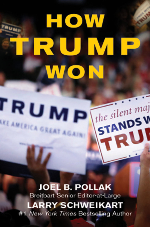 Cover image for book How Trump Won
