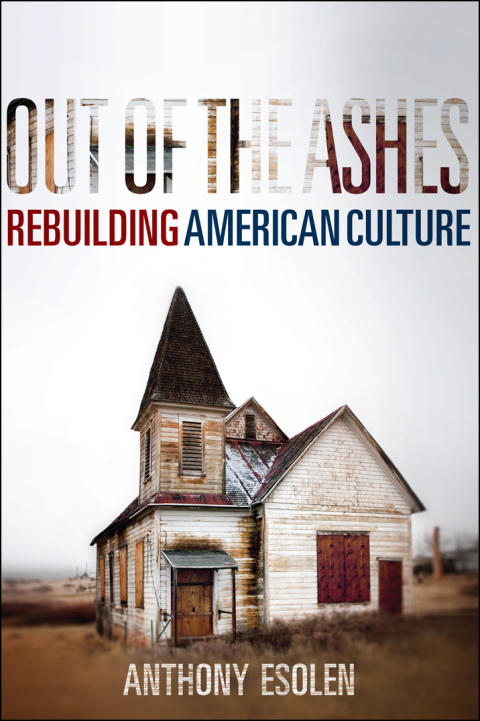 Cover image for book Out of the Ashes