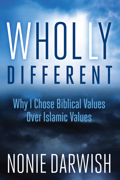 Cover image for book Wholly Different