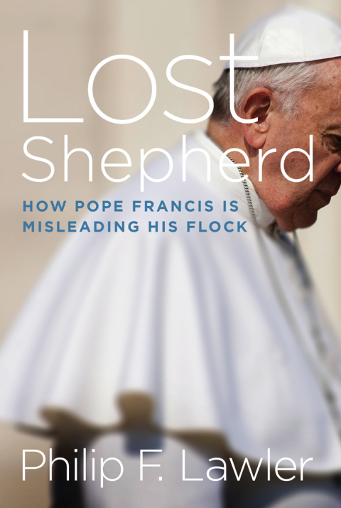 Cover image for book Lost Shepherd