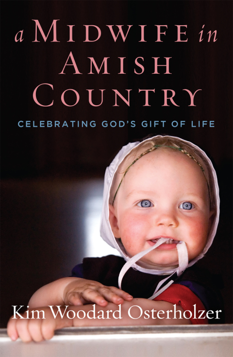 Cover image for book A Midwife in Amish Country