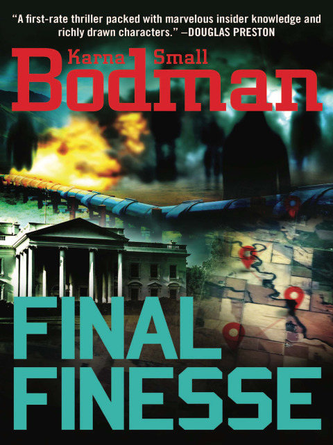 Cover image for book Final Finesse