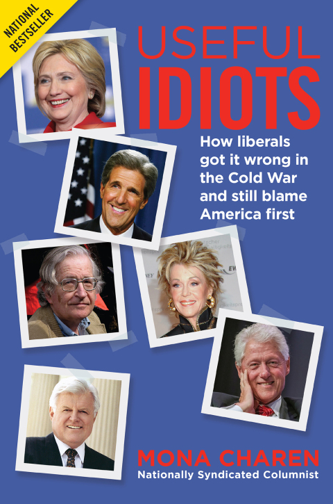 Cover image for book Useful Idiots