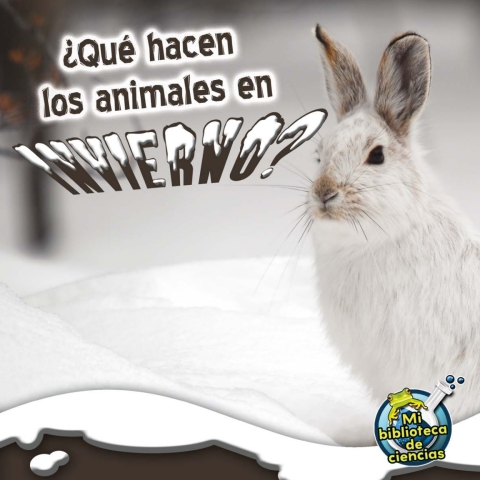 Qué hacen los animales en invierno?
