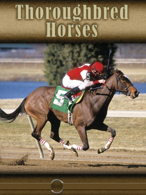 Cover image for book Thoroughbred Horses