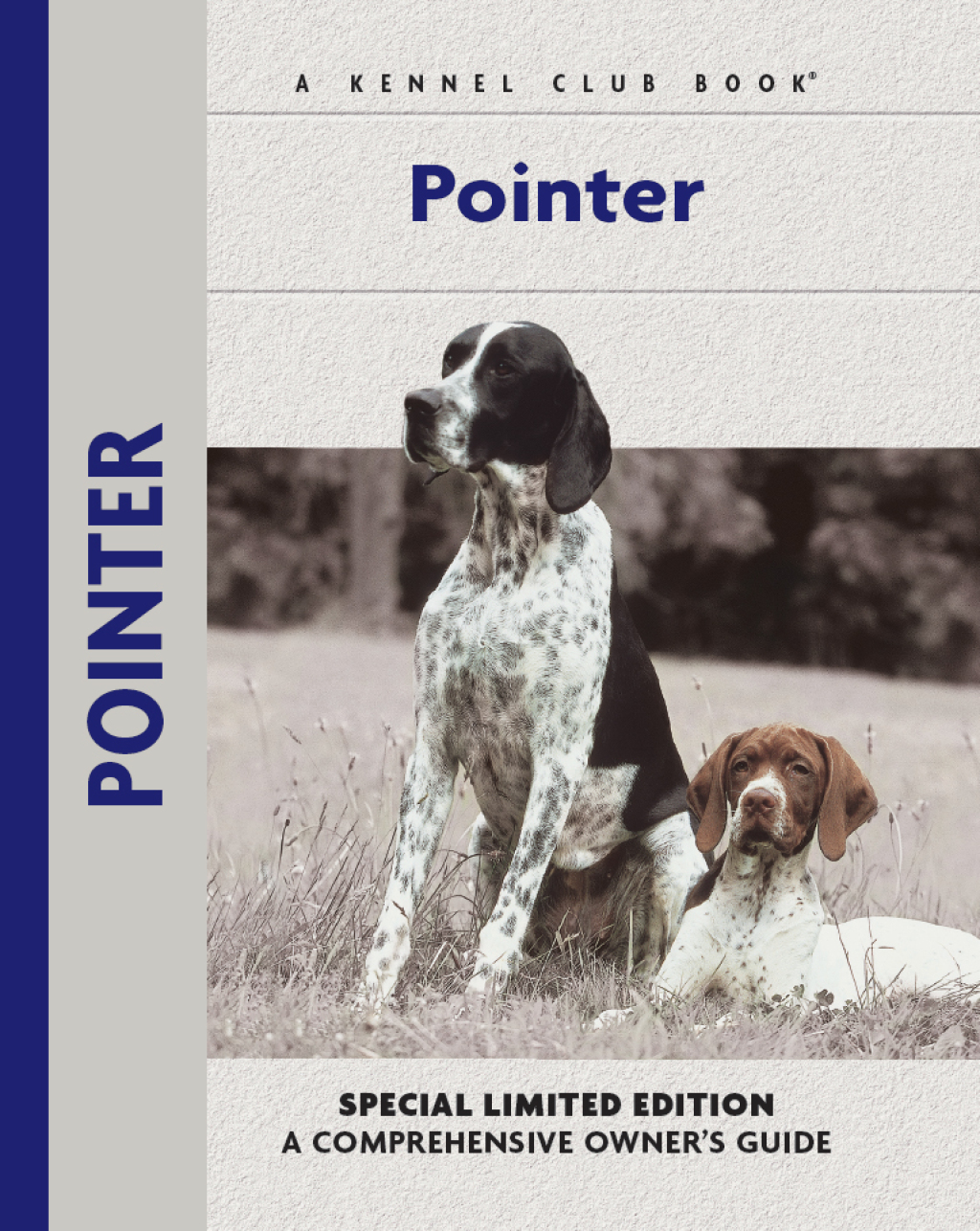 Pointer (eBook)