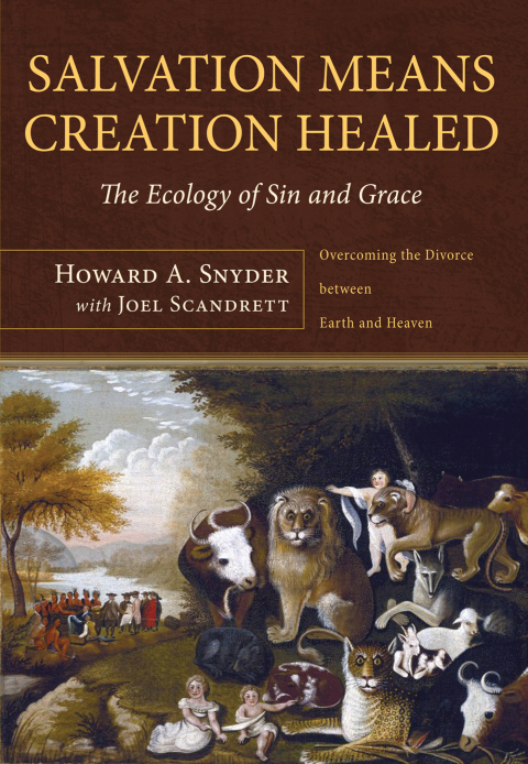 Cover image for book Salvation Means Creation Healed