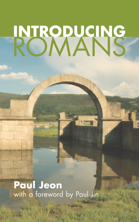 Cover image for book Introducing Romans