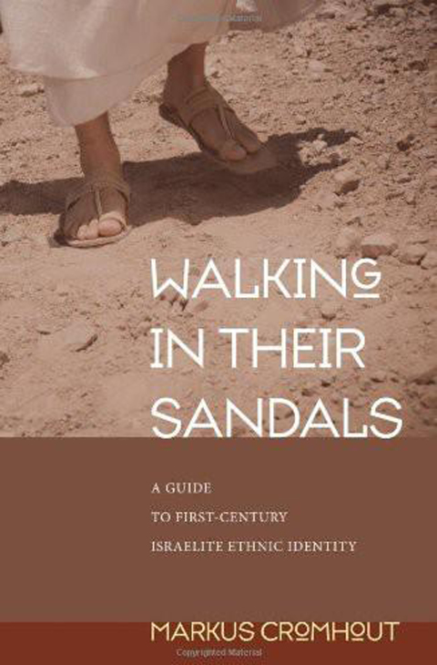 Cover image for book Walking in Their Sandals