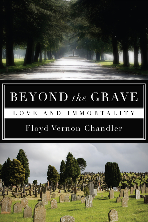 Cover image for book Beyond the Grave